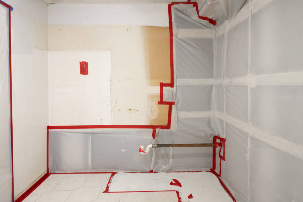 Best Biohazard Mold Removal  in Turners Falls, MA